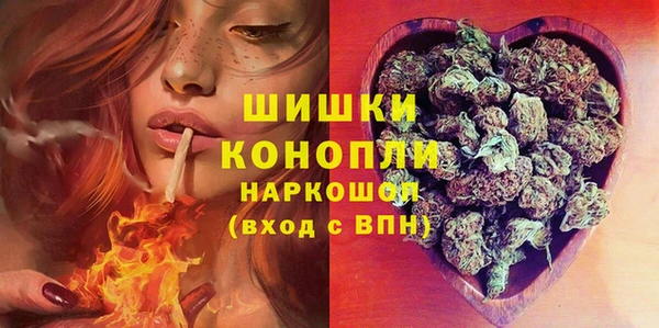 прущие грибы Алзамай