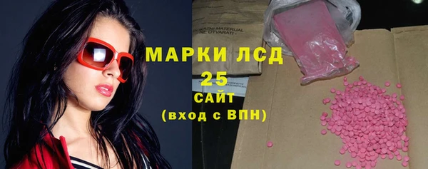 прущие грибы Алзамай