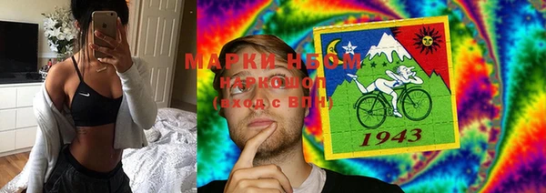 прущие грибы Алзамай