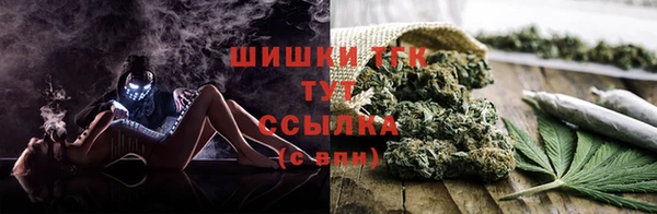 прущие грибы Алзамай