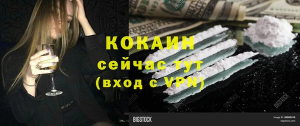 кокс Алексин